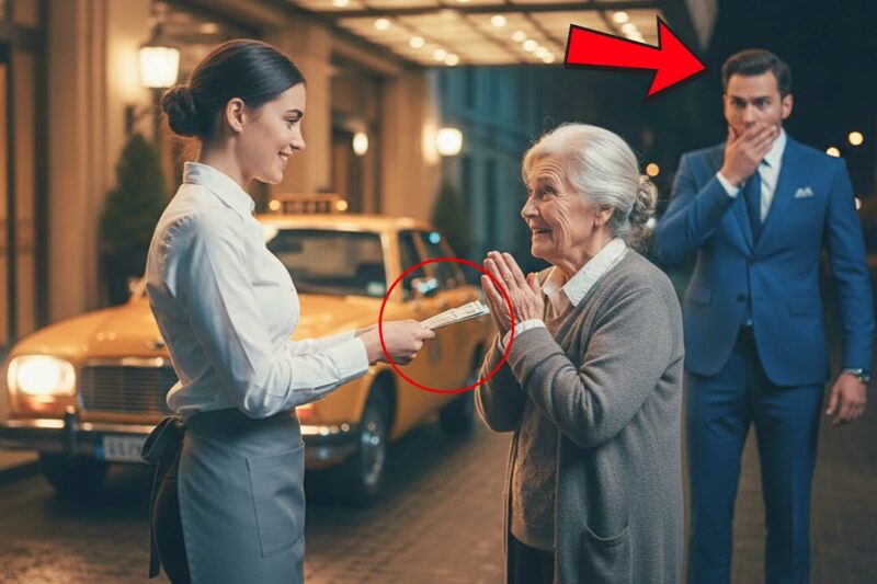 Waitress Paid a Taxi for an Elderly Woman — One Hour Later, a Biker Changed Her Life