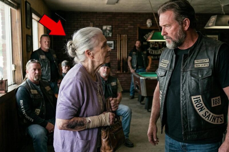 Elder Lady With Bruised Arm Asked Bikers ‘Can I Work Here?’ — The Truth Left The Hell Angels Shattered