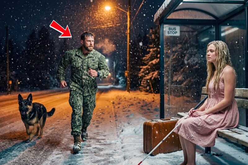 A Navy SEAL Spots a Blind Woman Shivering at a Bus Stop — But What His K9 Does Next Leaves Everyone Speechless