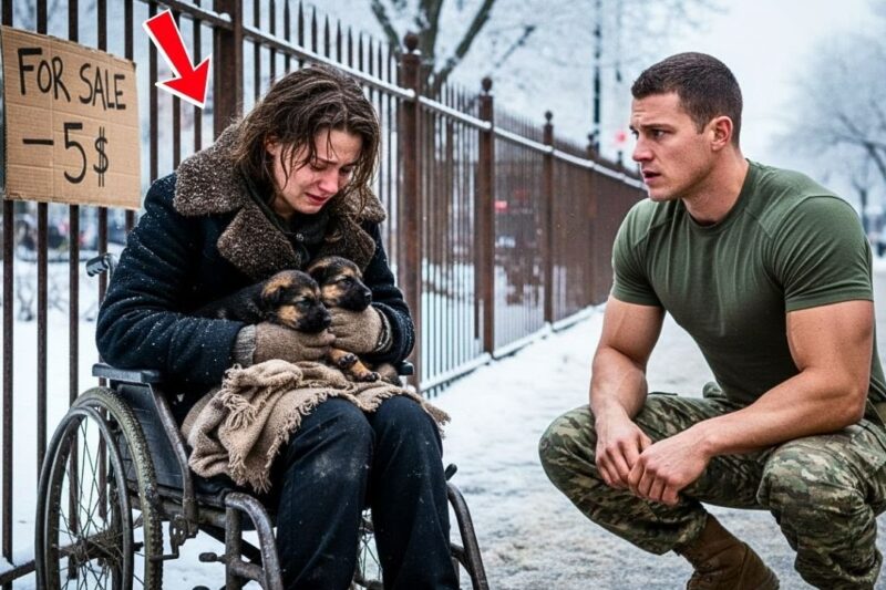 A Navy SEAL Saw a $5 Sign and Stopped — What Happened Next Gave a Broken Girl a Reason to Believe Again