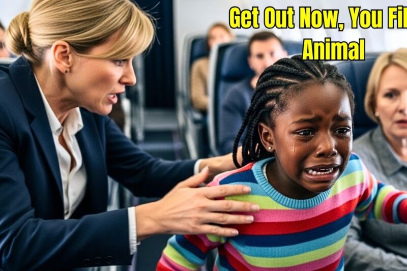 “You Don’t Belong Here!” She Told the Black Girl — Then the Entire Cabin Went Silent