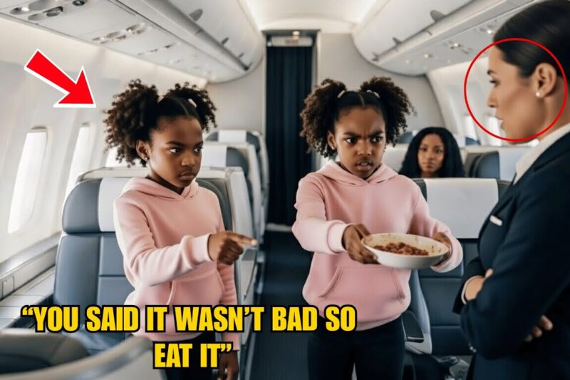 Flight Attendant Threw Spoiled Food at a Deaf and Mute Mother — She Regretted It When the Twin Da…