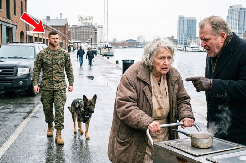 A Marine Returned to the Woman Who Helped Him as a Homeless Boy — Then Everything Changed
