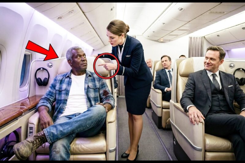 Flight Attendant Calls Him “Out of Place” — Then Everyone Learns He Owns the Airline