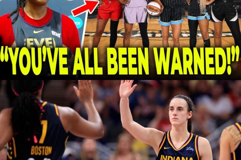 The Breaking Point: Enforcer Shatters Silence on the Unchecked Bullying of Caitlin Clark