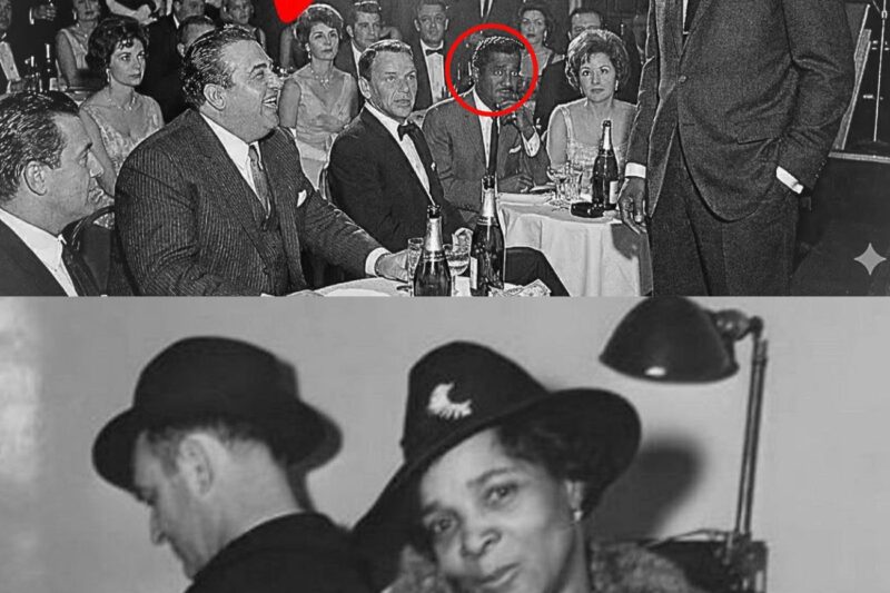 A Mob Boss Made a Joke About Bumpy Johnson’s Mother — His Calm Response Shocked Everyone 
