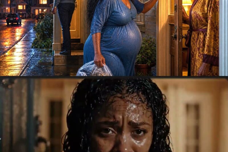 Pregnant Woman Was Left on the Street in the Rain With Nothing. She Knocked on a Stranger’s Door 