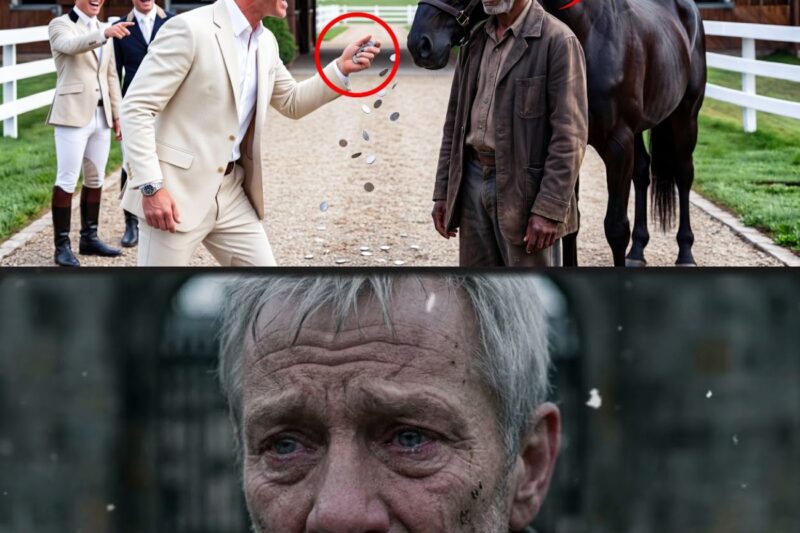 Rich Jockeys Threw Coins at Black Beggar — Until the Killer Horse Knelt at His Whisper