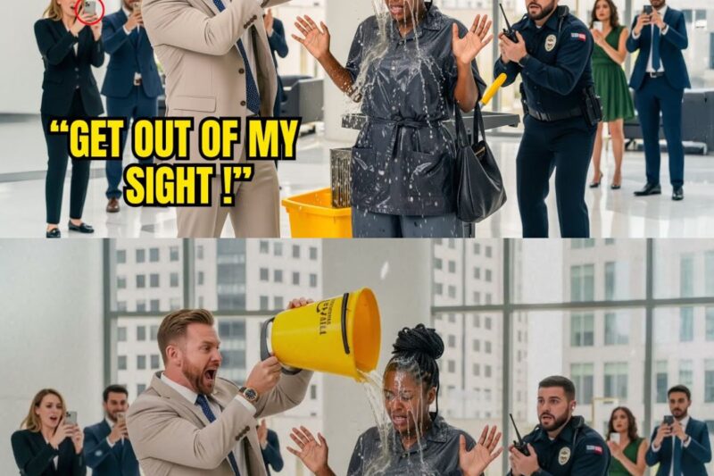  CEO Dumped Dirty Water on a Black Janitor to Shame Her — But Her Next Move Ended His Career 