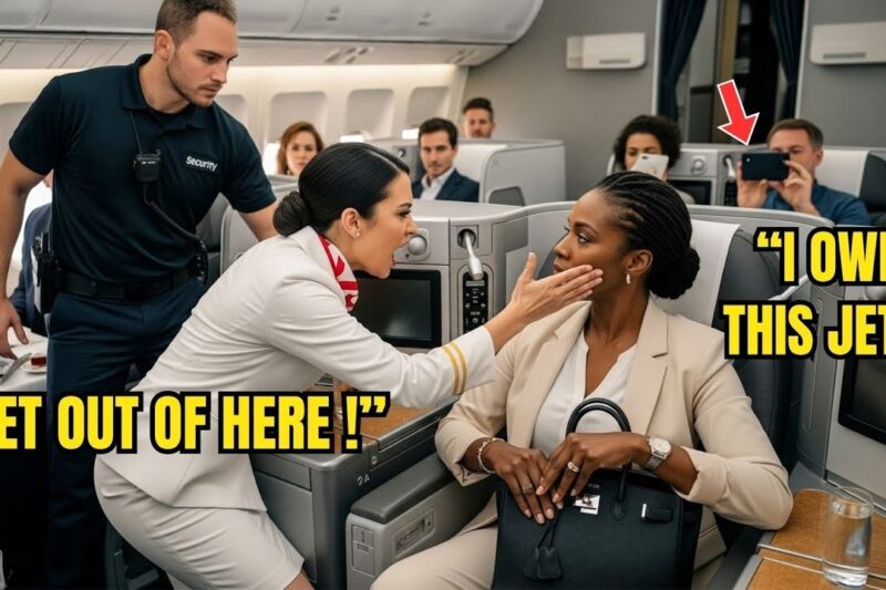 Flight Attendant Slapped a Black CEO on Her Own Jet—10 Minutes Later, She Fired the Entire Crew