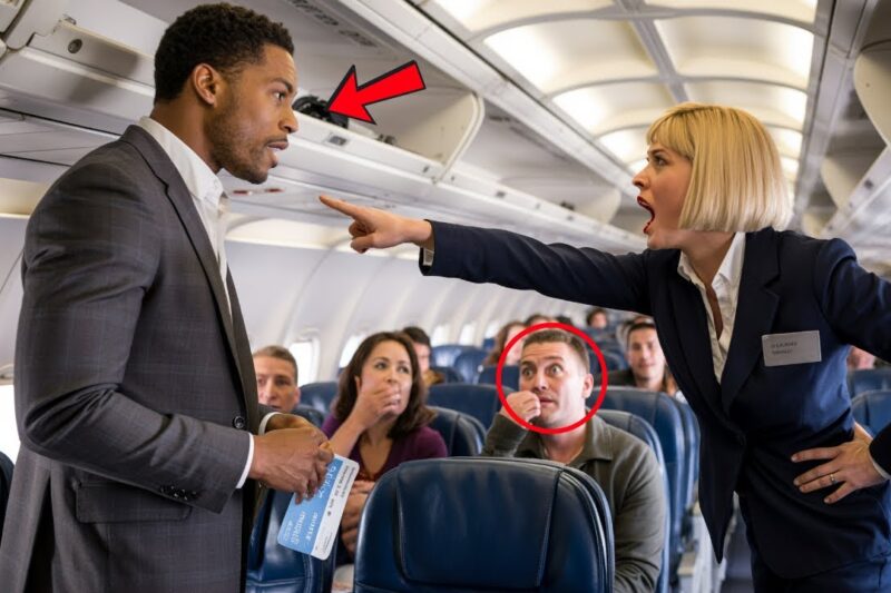 Black Billionaire Was Told to “Take the Back Row” — Then Grounds the Airline for 48 Hours