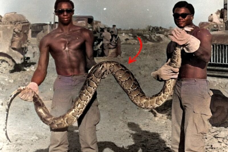 Vietnam’s Most TERRIFYING Encounters for US Soldiers