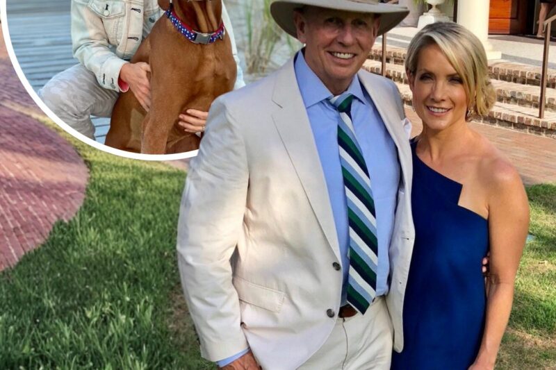 BREAKING NEWS: Millions left stunned as TV icon Dana Perino hits an unexpected life milestone that completely changes everything for her loyal fanbase.