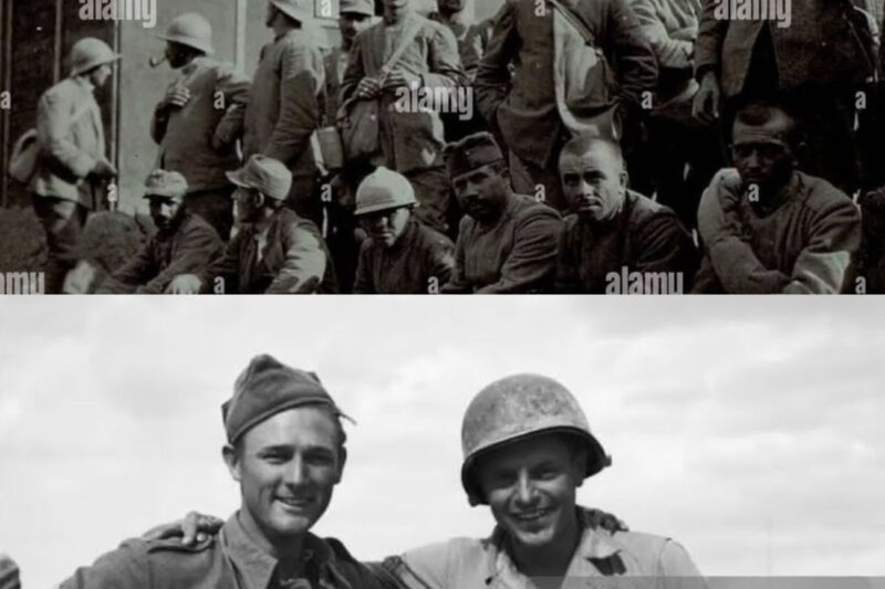 “Americans Ran From Rommel” — How 14,000 Australians Held The Same Enemy For 5 Month