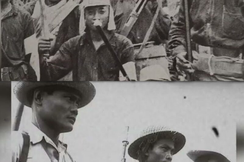 “They Paid For Enemy Heads” — WWII’s Most Savage Australian Unit That Out-Killed US Divisions