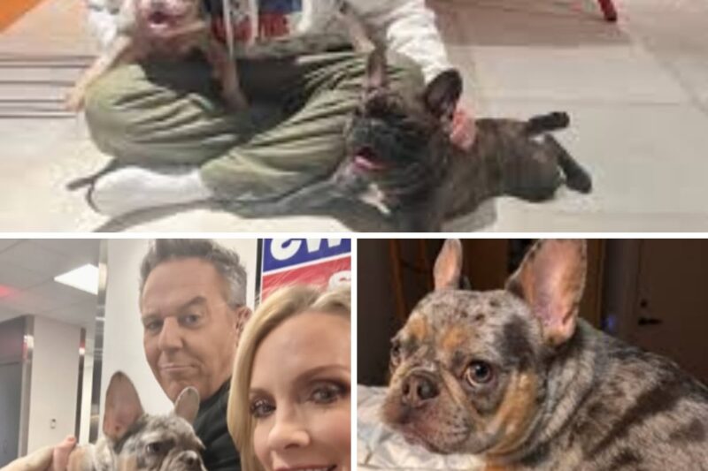 THE DAY GREG GUTFELD CHANGED 39 LIVES