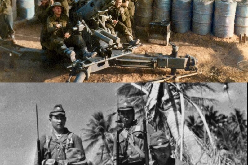 Japanese Snipers Were Terrified When They Realized U.S. Marines Used 40mm Cannons to Shoot Them Down