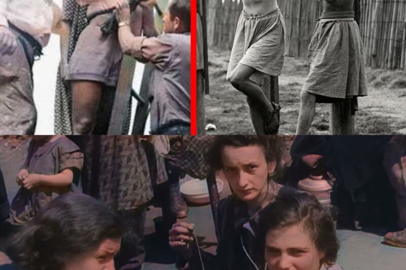 The Dark Reason Ravensbruck Female Guards Were Publicly Executed!