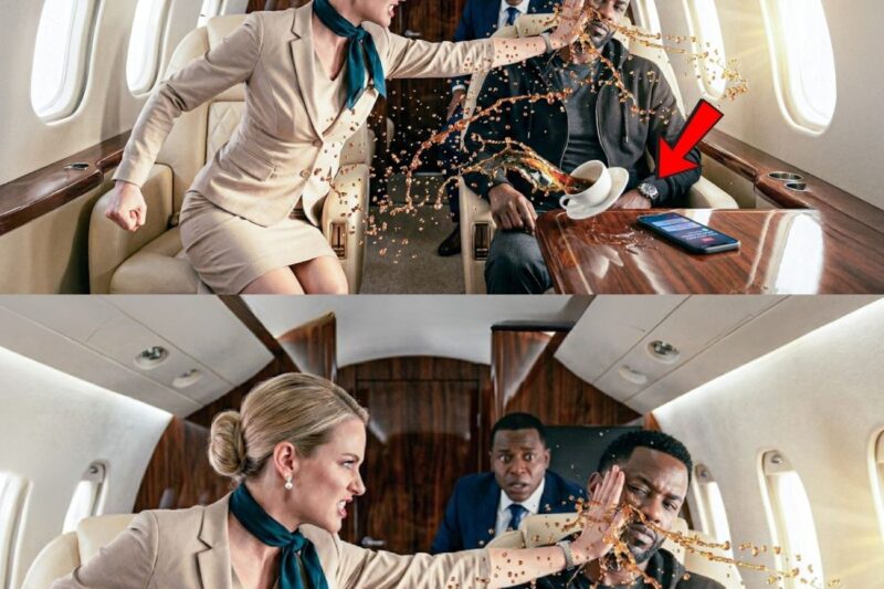 Attendant Slapped Black CEO on His Private Jet — 8 Minutes Later She Lost Everything