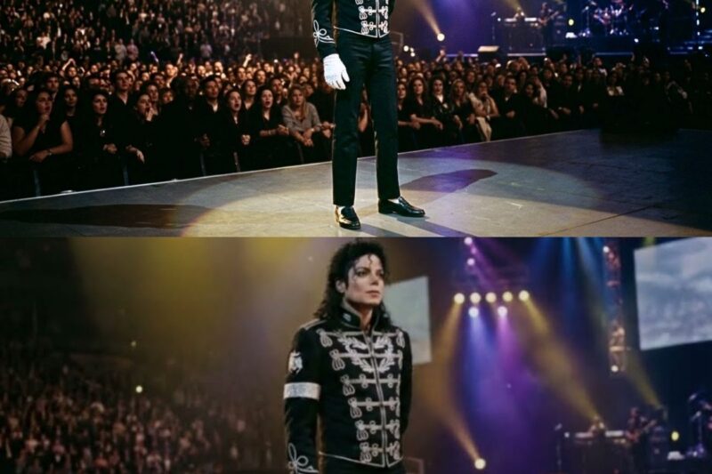 Michael Jackson Stopped the Entire Concert After a Racist Slur — What He Did Next Changed History