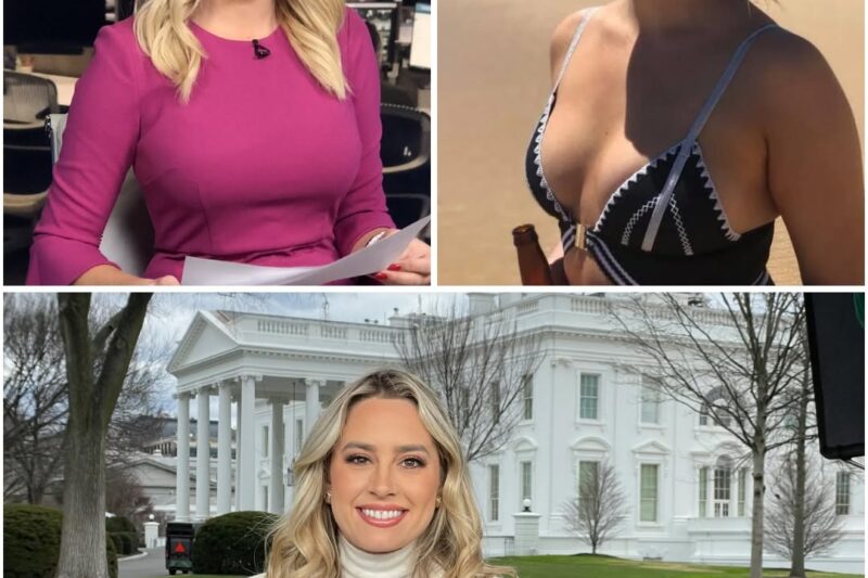 Fox News star Jacqui Heinrich quits in tears after terrifying threats to her family. What really forced her to abandon her high-profile career? Exclusive details.