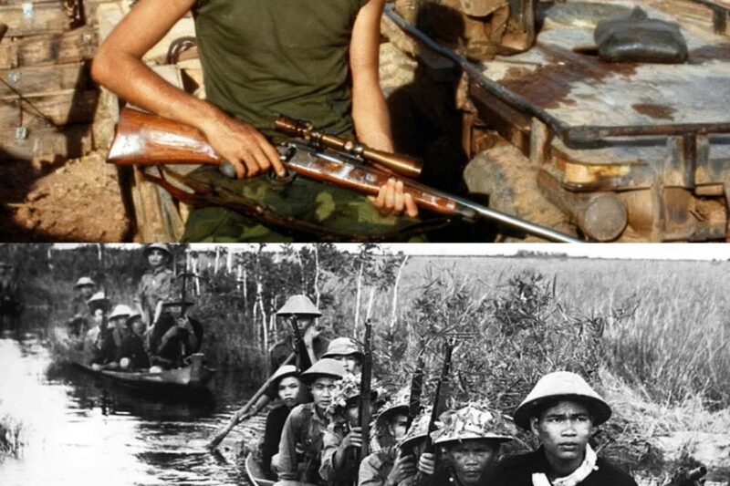 Viet Cong Soldiers Were Terrified When One U.S. Marine Sniper Shot Down 16 of Them In 30 Seconds