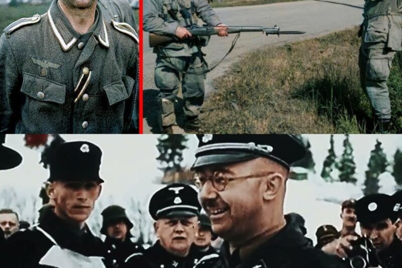 The Dark Reason the Allies Executed the Captured SS | Dachau 1945