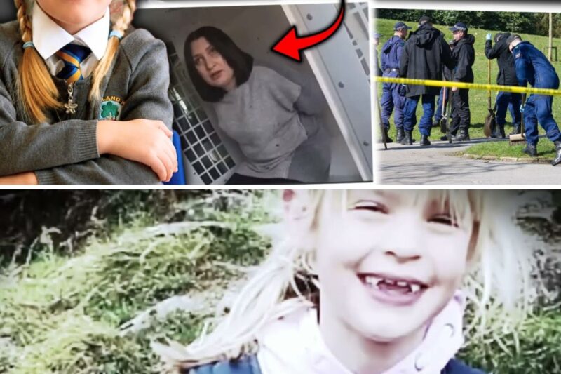 The Dangerous Patient Nobody Stopped — A Child Lost Her Life | True Crime Story