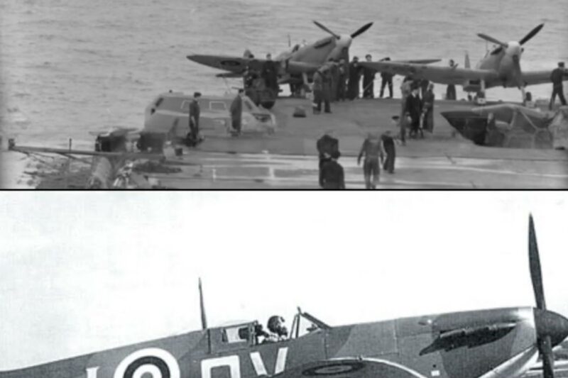 How One Engineer’s “Stupid” Twin-Propeller Design Turned the Spitfire Into a 470 MPH Monster