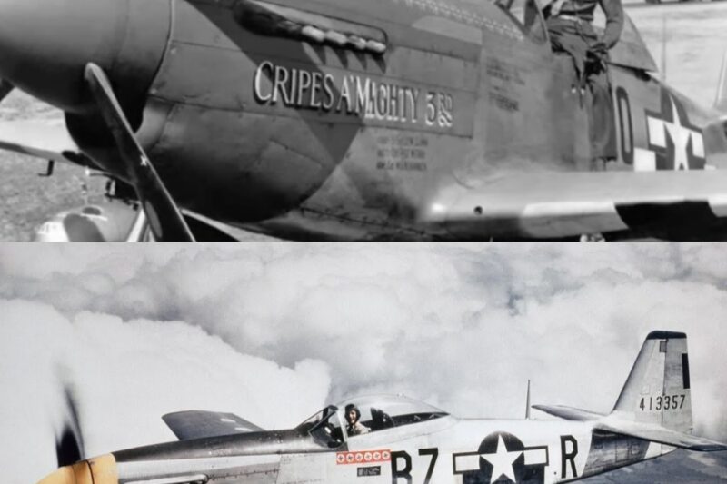 Germans Never Expected P-51 Mustangs To Crush the Luftwaffe