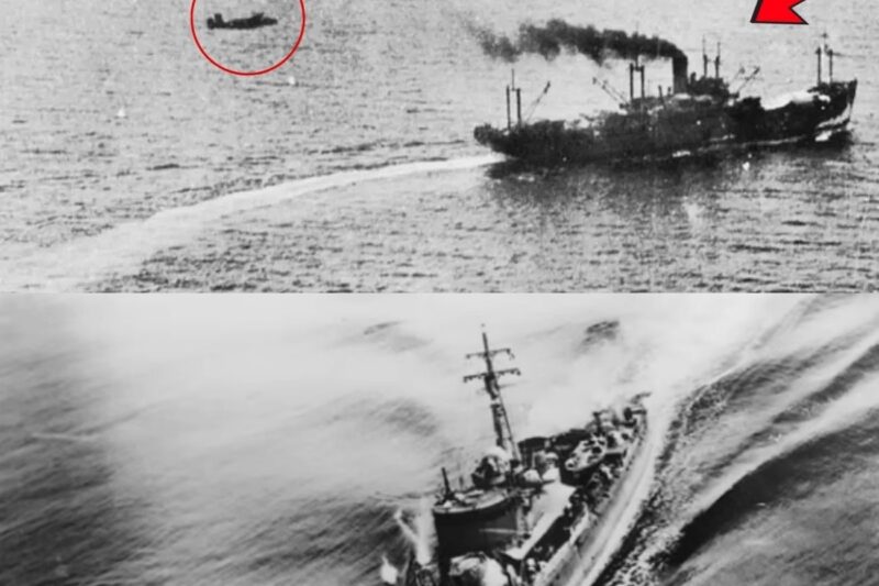 Japanese Were Shocked When Americans Strafed Their 3,000 Convoy Survivors