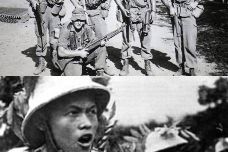 Why The Viet Cong Misjudged Australian SAS In Vietnam
