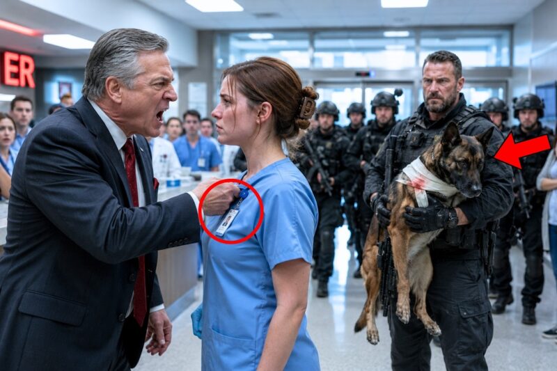 A Nurse Was Punished for Saving a Veteran’s Beloved K9 Instead of Following Hospital Orders — But Moments Later, the ER Doors Burst Open, a Team of Navy SEALs Took Control of the Room, and Everyone Finally Learned Why That Dog Was More Than a Patient: He Was a Decorated War Hero, His Handler Was a Legend, and the Nurse They Tried to Humiliate Had Just Protected a Bond That the Military Would Never Allow Anyone to Disrespect