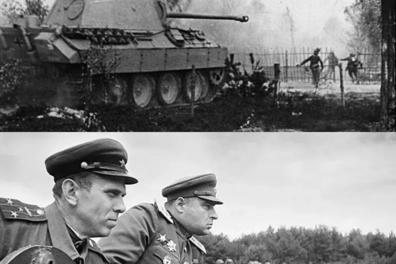 Soviet Engineers TESTED Captured Panther Found Final Drive Failed Every 150km Under Combat Load