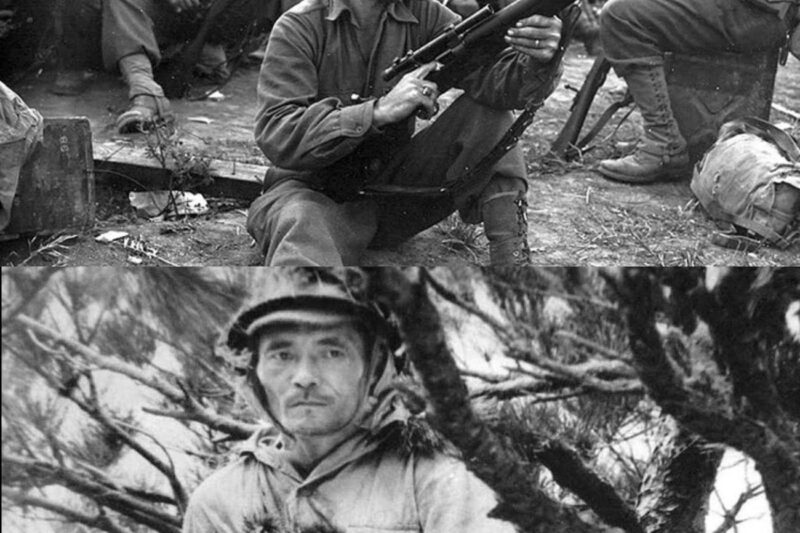How a U S Sniper’s ‘Matchbox Trick’ Took Down 119 Germans in 4 Days
