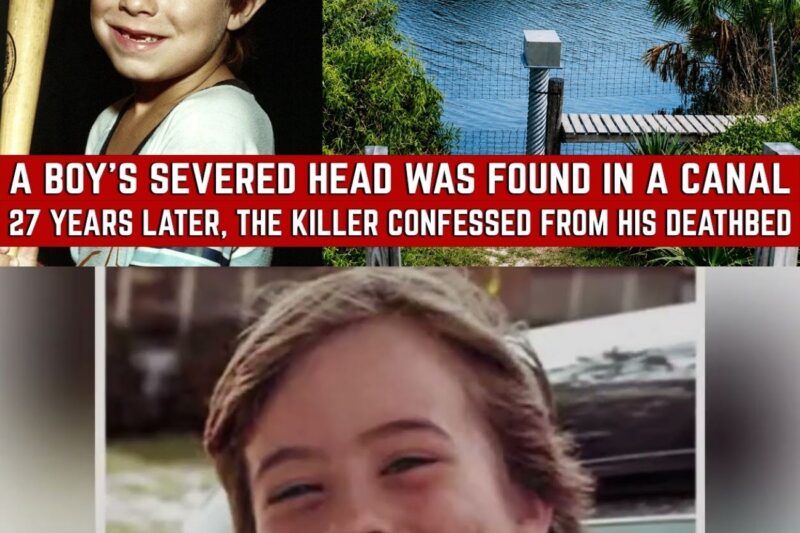 Florida 1981 Cold Case Solved — Arrest Shocks Community