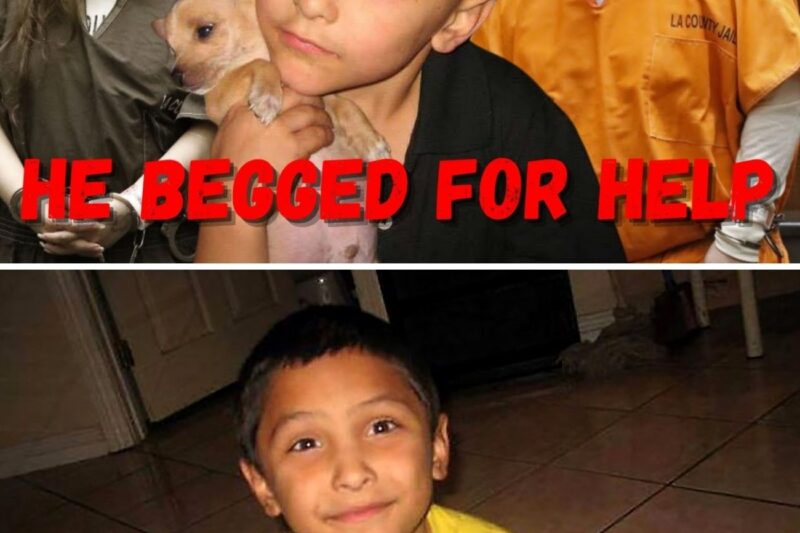 The Worst Child Case in Modern America (The Trials of Gabriel Fernandez)