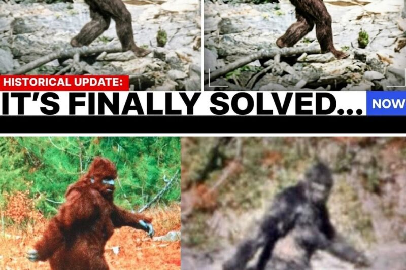 AI Finally Analyzes The 1967 Patterson Gimlin Bigfoot Film, You Won’t Believe What It Found