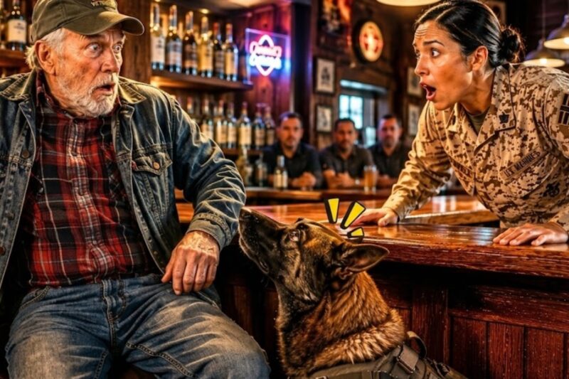 The Marines Searched for a Missing Hero for 10 Years—Then a K9 Found Him on an Old Farm