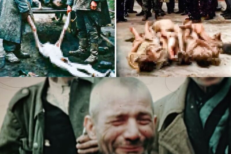What Happened When the Nazi Concentration Camps Were Discovered?