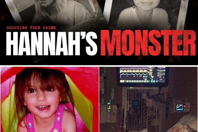 Babysitter Does the UNTHINKABLE – The DISTURBING Case of Hannah Wesche