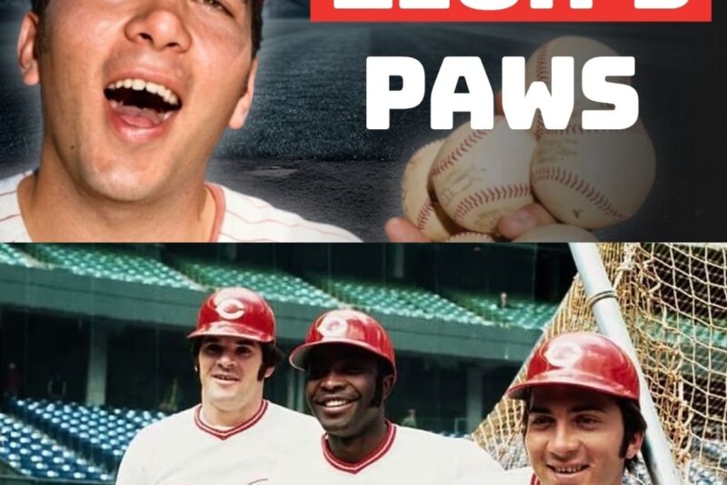 Johnny Bench Was Even BETTER Than You Realized