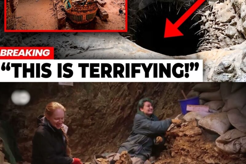 They Opened a Cave Sealed for 40,000 Years — What Was Inside Changes Everything We Know