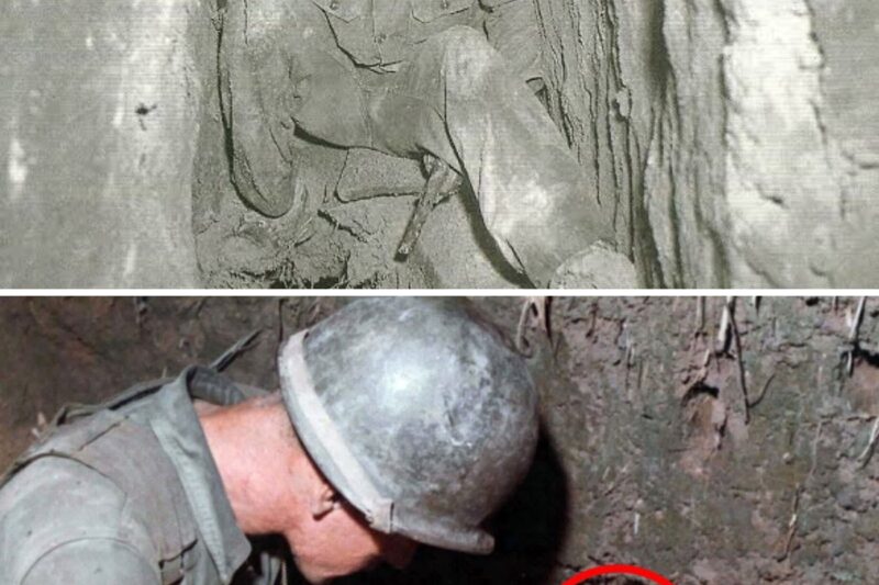 Vietnam’s most FEARED Tunnels By US Soldiers!