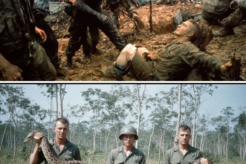 Vietnam’s most FEARED Things By US Soldiers!