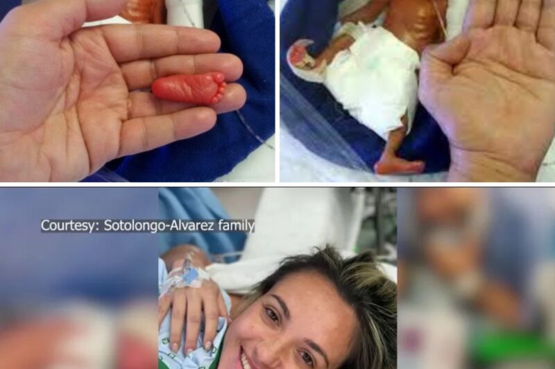 Widow Gives Birth To Miracle Baby 14 Months After Her Husband Passed away !