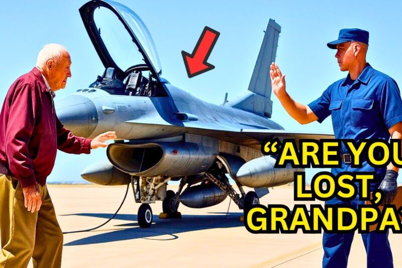 The F-16 Was Dead on the Tarmac — They Froze When the Legendary Veteran Fixed It Alone 