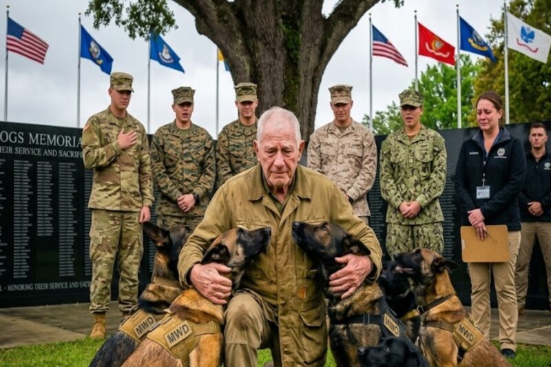 An Old Farmer Stood Alone at the Memorial—Until Seven Military K9s Broke Formation and Ran to Him