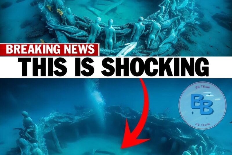 Scientists Just Scanned the Bermuda Triangle Bottom — The Truth is Terrifying