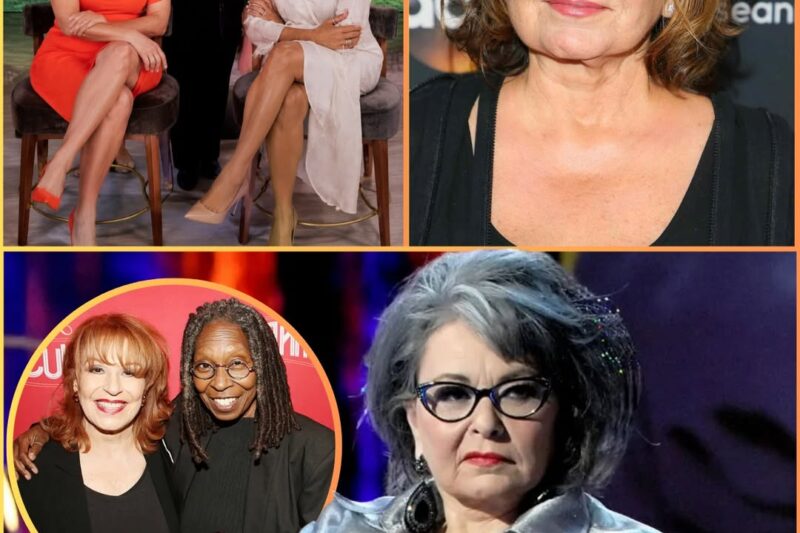 Roseanne Barr Set to Shake Up Morning TV with $50 Million Fox Deal — “We’re Taking Down The View”